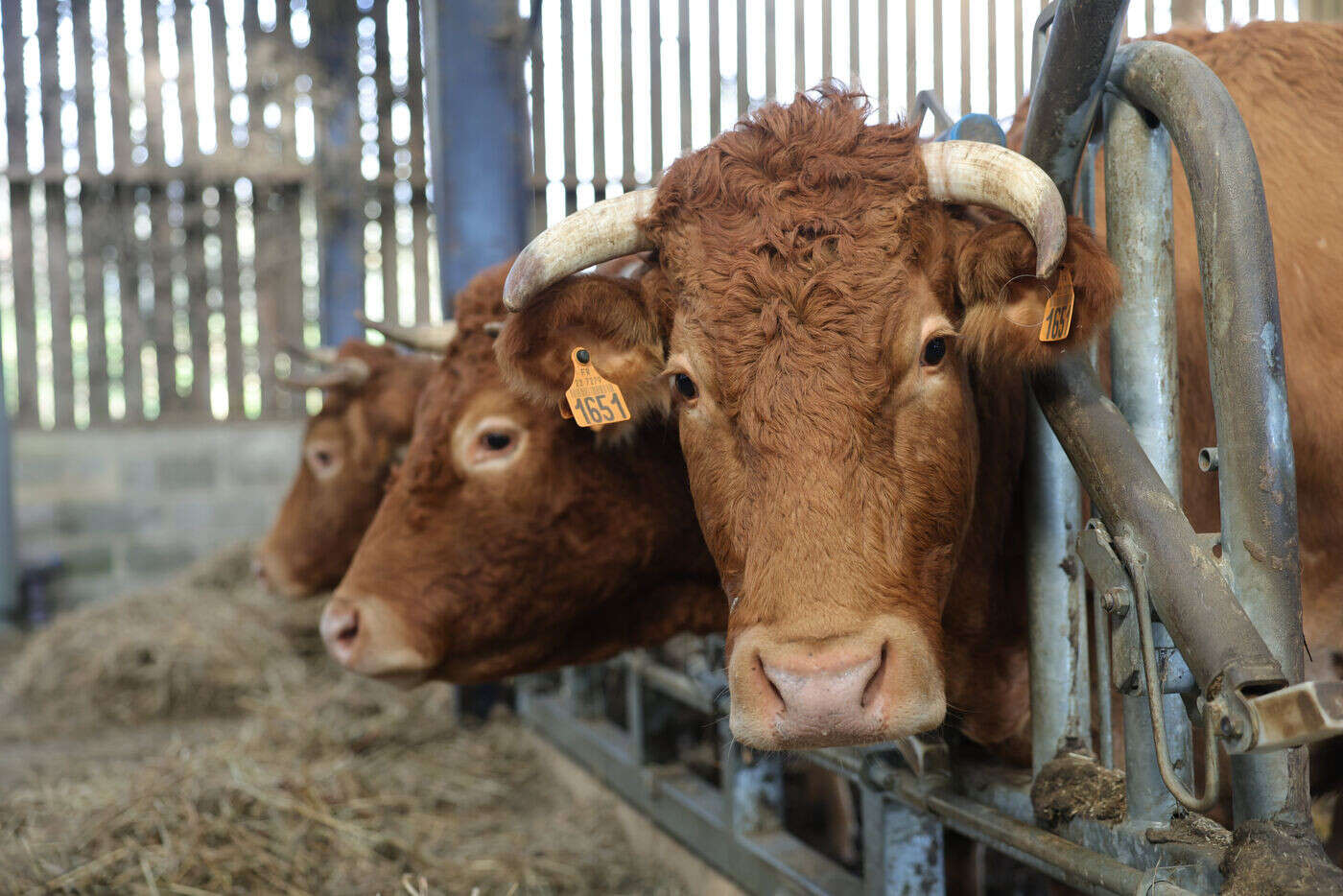 Loi agricole : origine des denrées, atteintes à l’environnement… Ce que contient le texte en passe d’être adopté