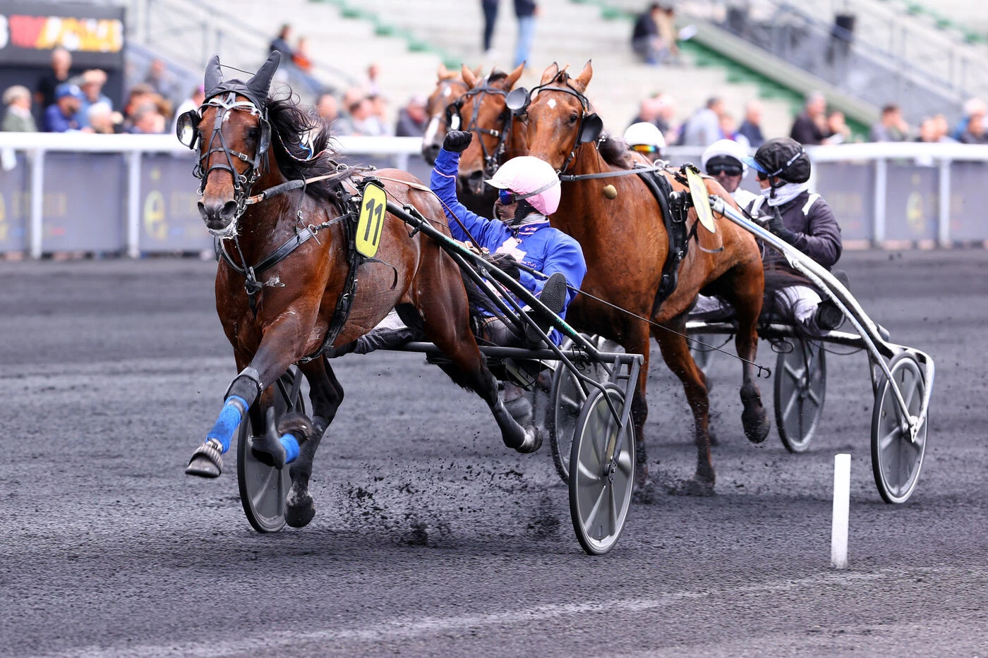 Arrivée du quinté du samedi 7 juin à Paris-Vincennes : Kanto Avis s’impose en costaud et succède à Idao de Tillard