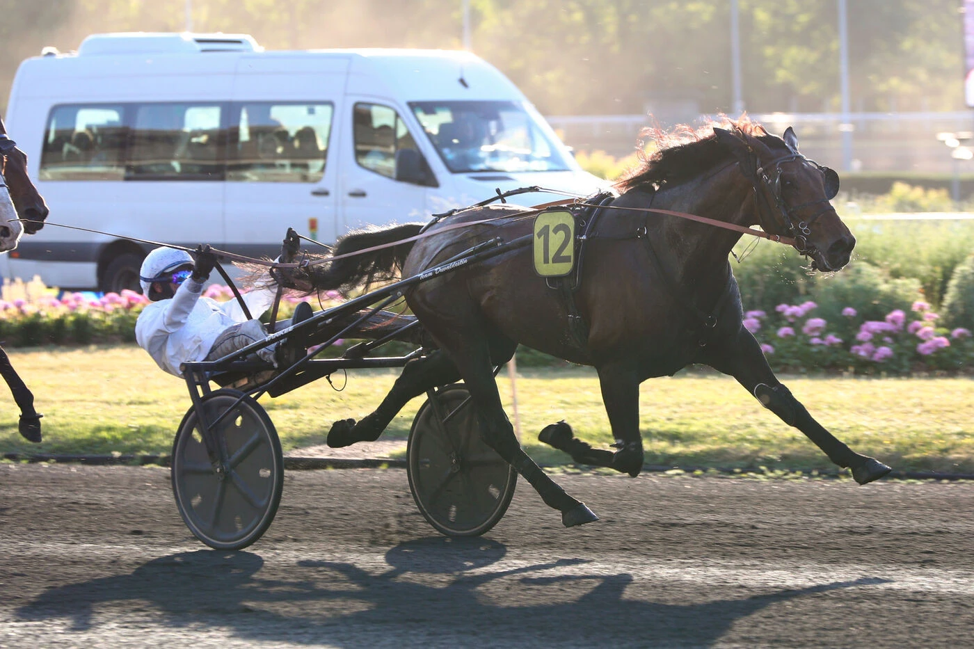 Arrivée du quinté du vendredi 30 mai à Vincennes : Unico Broline se paie les favoris