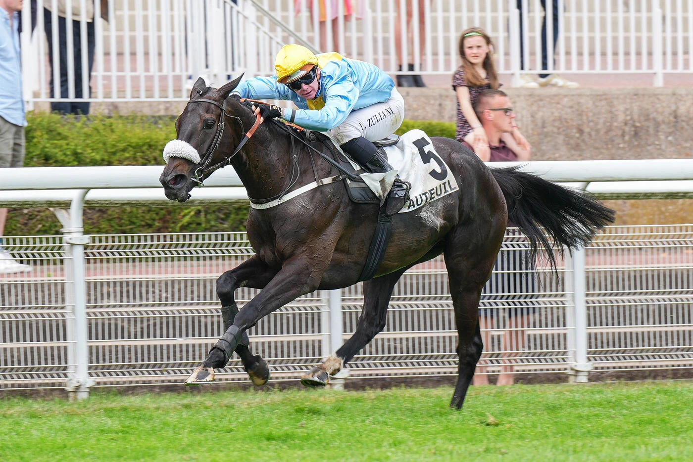 Arrivée du quinté du samedi 31 mai à Auteuil : Fiction du Berlais ferme le ban avec brio
