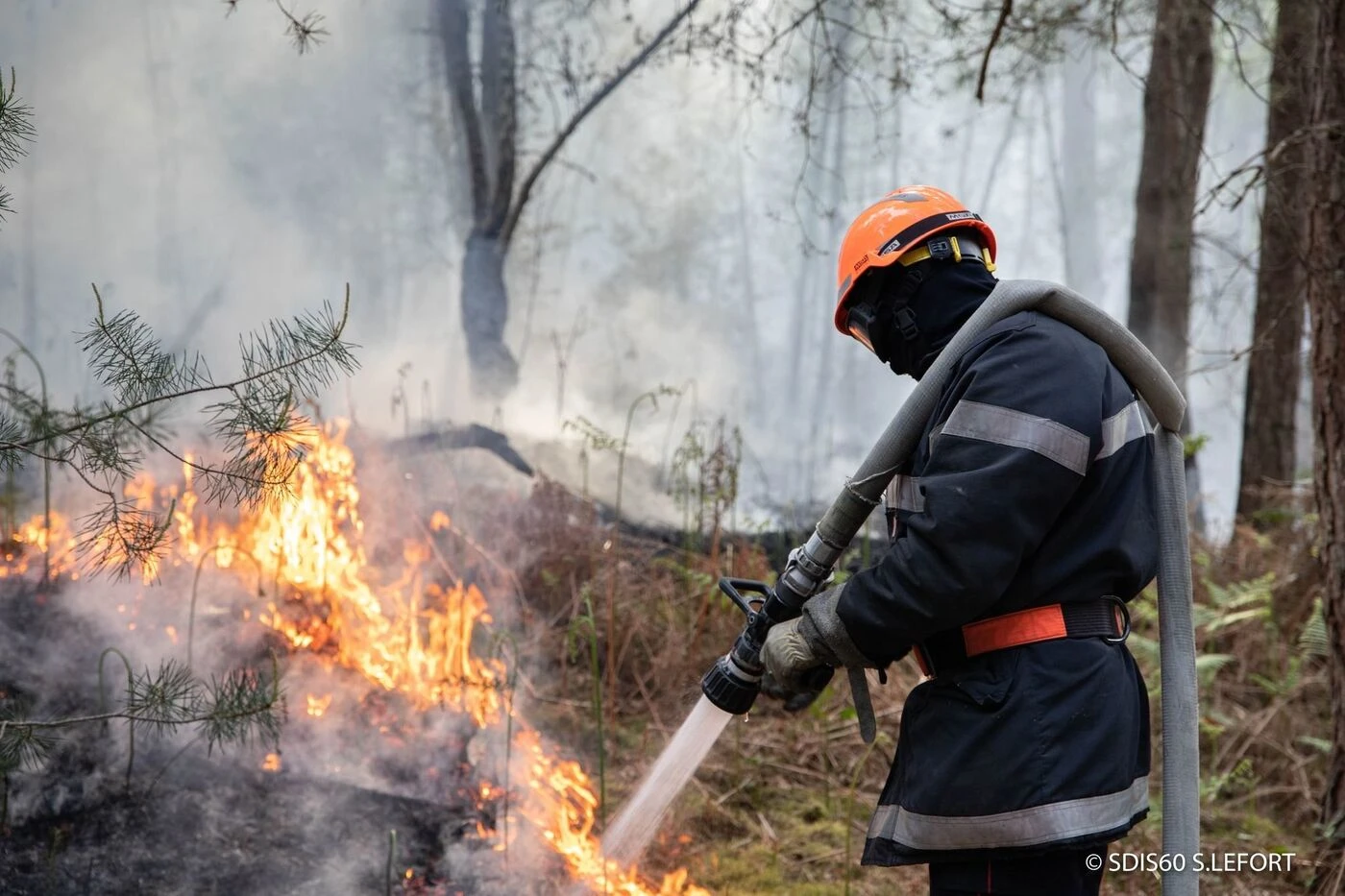 Drôme, Pyrénées-Orientales… Le point sur les incendies en cours ce samedi