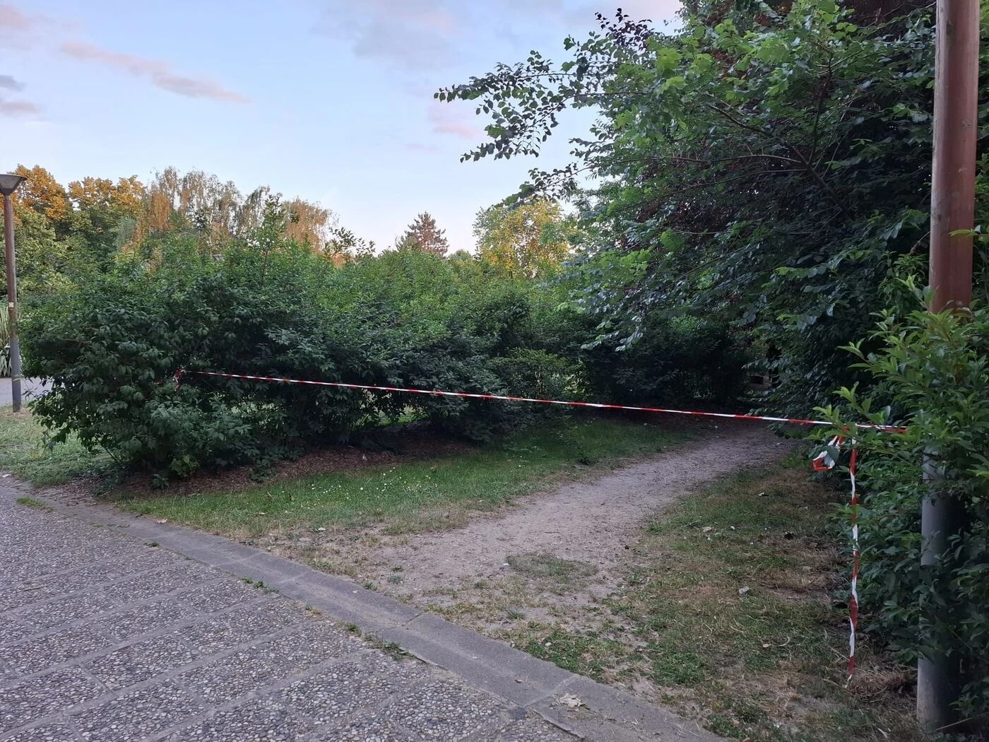 « J’ai entendu des gens crier » : le cadavre d’une femme retrouvé près du lac de Créteil