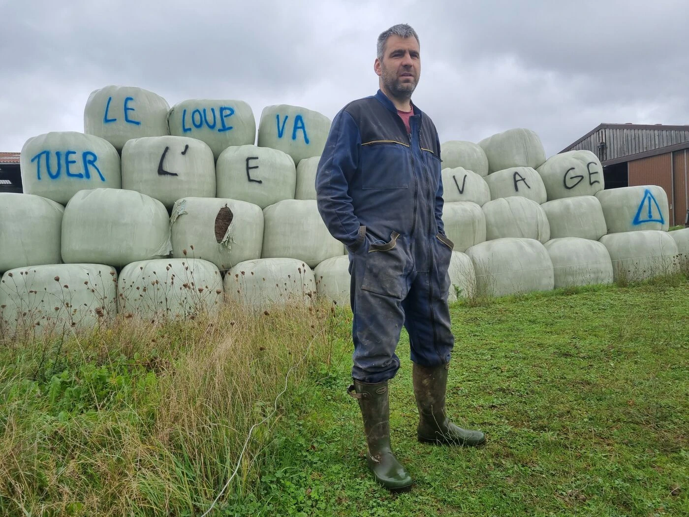 27 brebis égorgées, 45 blessées : son troupeau massacré par le loup, un éleveur de la Meuse autorisé à tirer