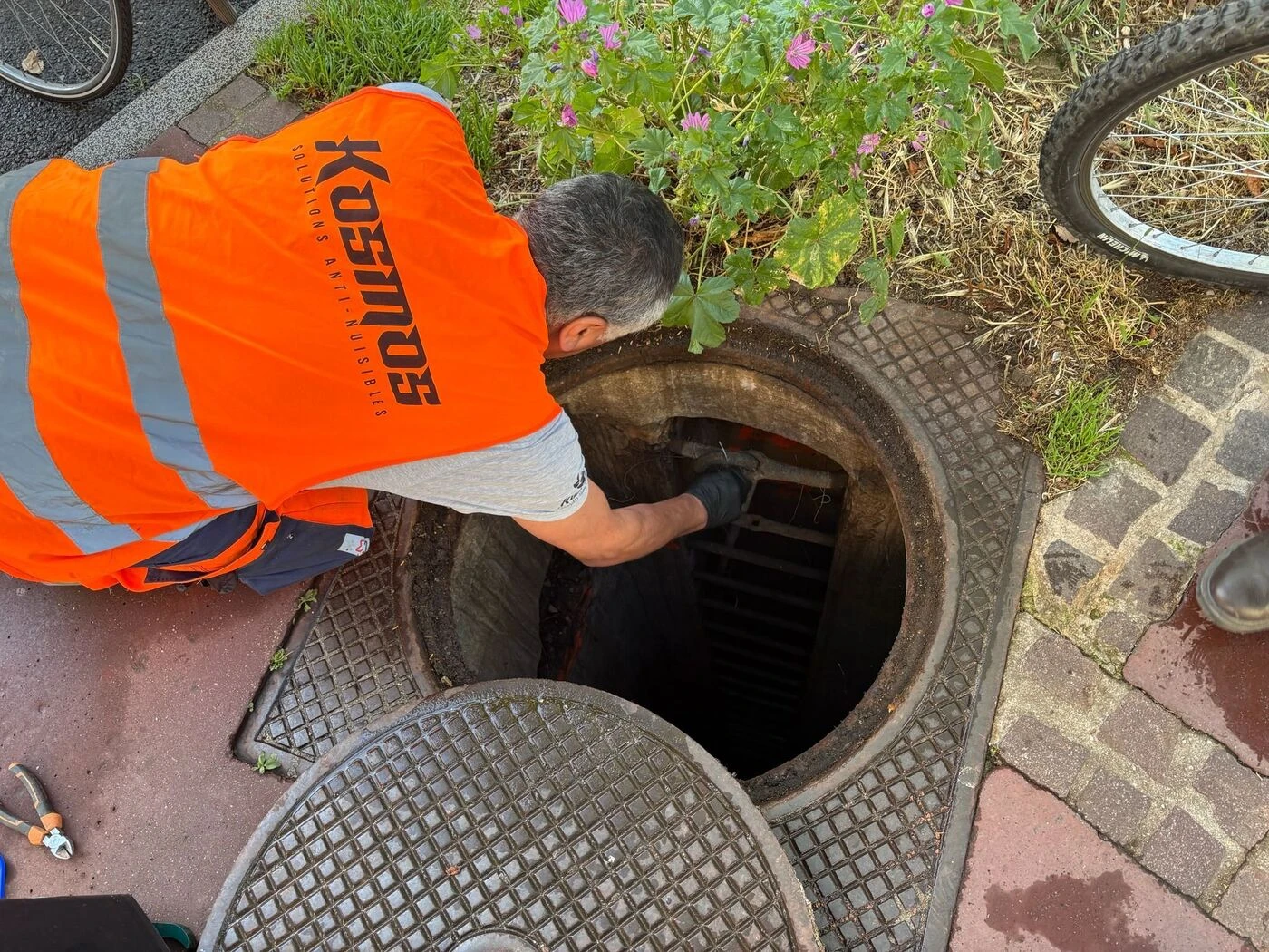« C’est Verdun ici » : à Charenton, opération coup de poing contre les rats en centre-ville