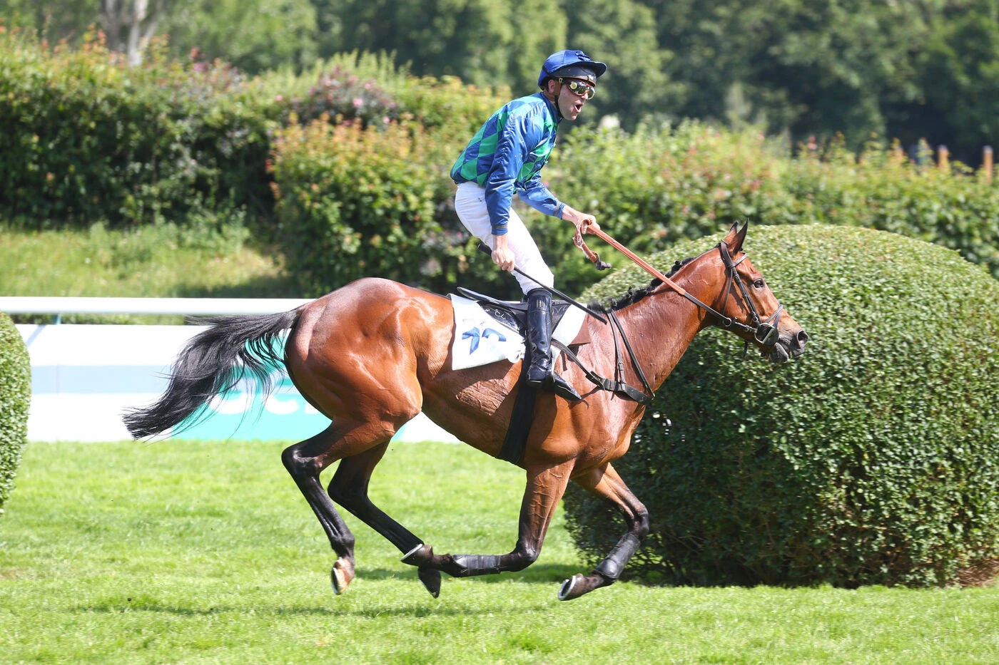 Quinté du 18 mai à Auteuil : Diamond Carl permet à Clément Lefebvre de garder son titre et offre un premier Grand Steeple à François Nicolle
