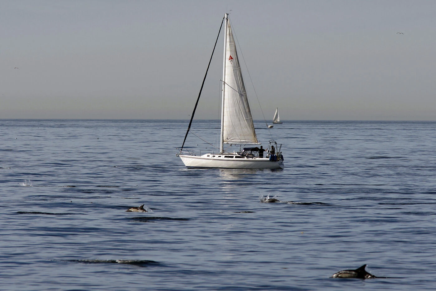 Deux fillettes meurent lors d’un stage de voile après qu’une barge a heurté leur bateau à Miami