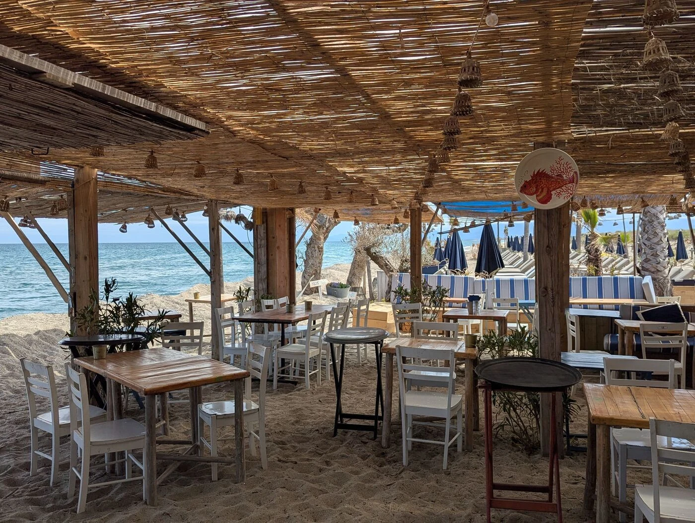 « C’est le véritable esprit paillote » : sur les plages privées de la côte Vermeille, la saison estivale est lancée