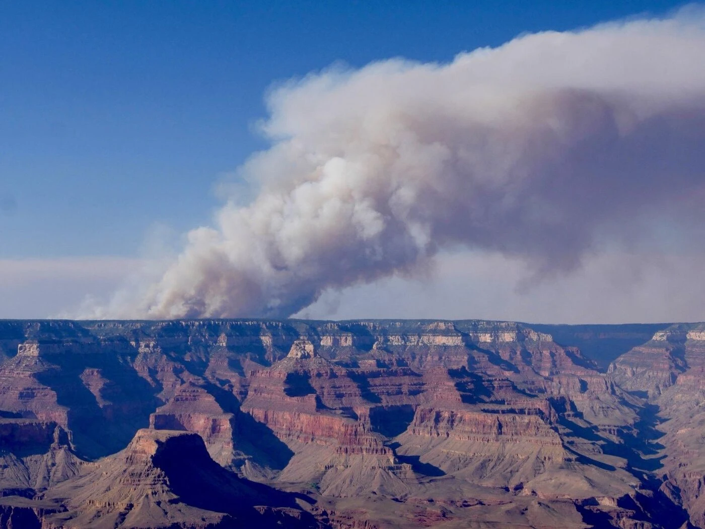 Grand Canyon : un mois après son déclenchement, l’incendie « Dragon Bravo » toujours hors de contrôle