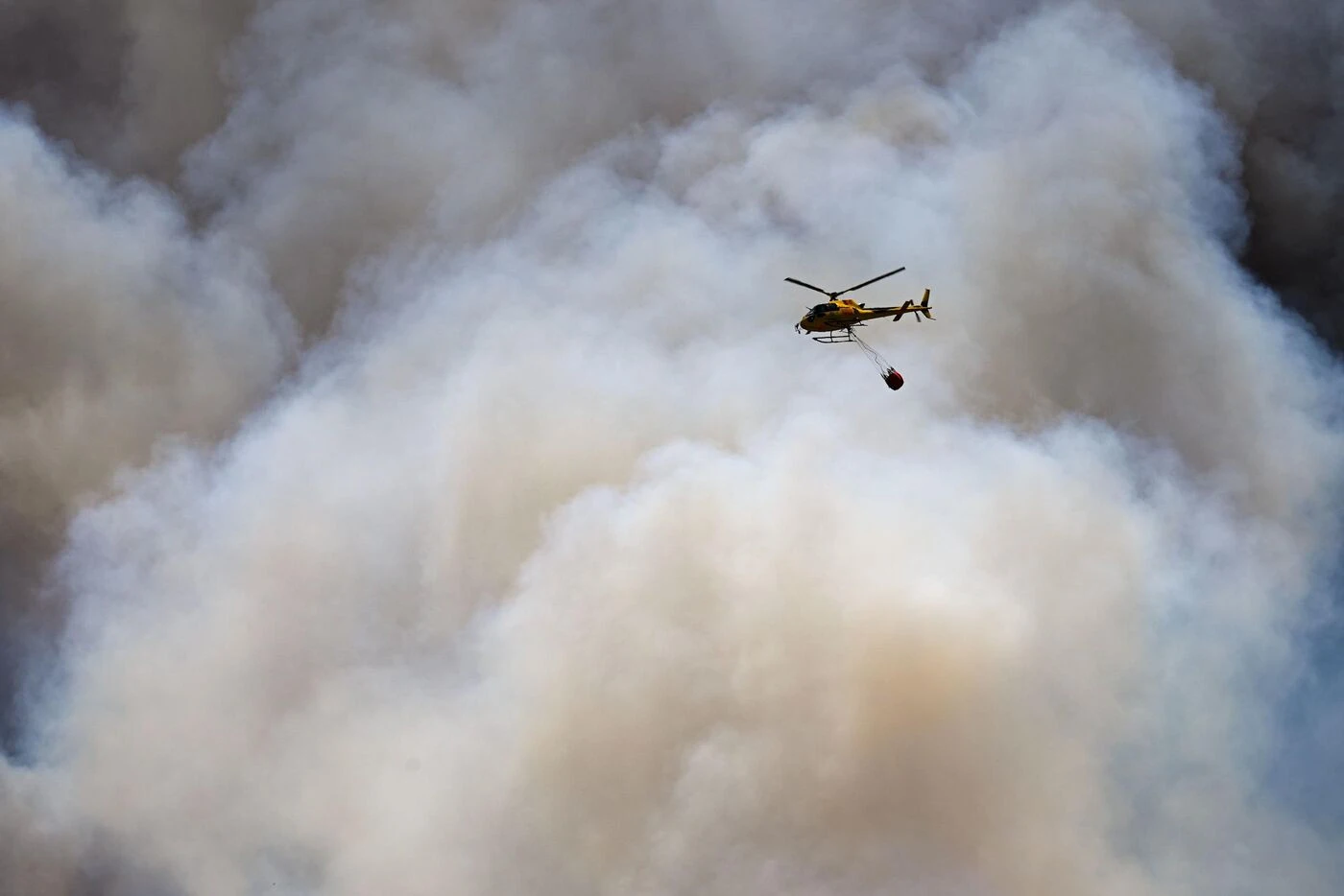 Incendies : six personnes interpellées après des départs de feu suspects
