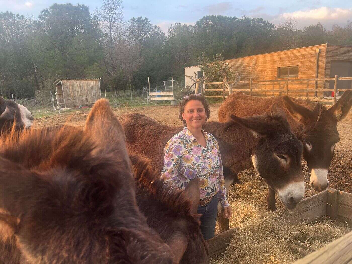 Une race à part : grâce à Delphine Danat, le burro catalan est redevenu un âne, un vrai !