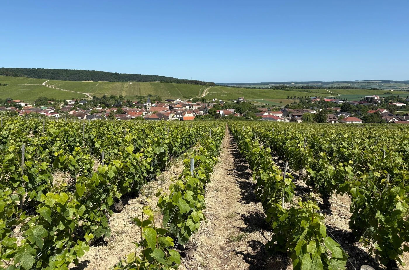 Aube : les points de vue de Baroville, une randonnée au cœur des vignes de Champagne