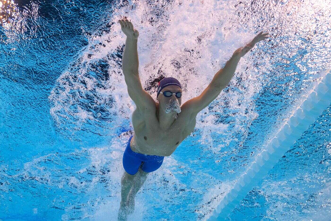 Natation : Léon Marchand boucle son année 2024 par une dernière victoire au meeting de La Réunion