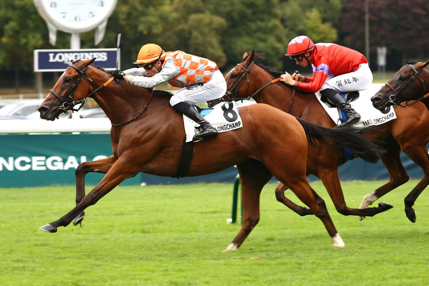 Arrivée du quinté du 31 août à ParisLongchamp : Bad Boy fait sauter la banque
