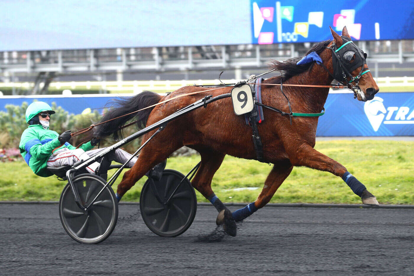 Arrivée du quinté du jeudi 20 février à Vincennes : Gamin des Isles en costaud