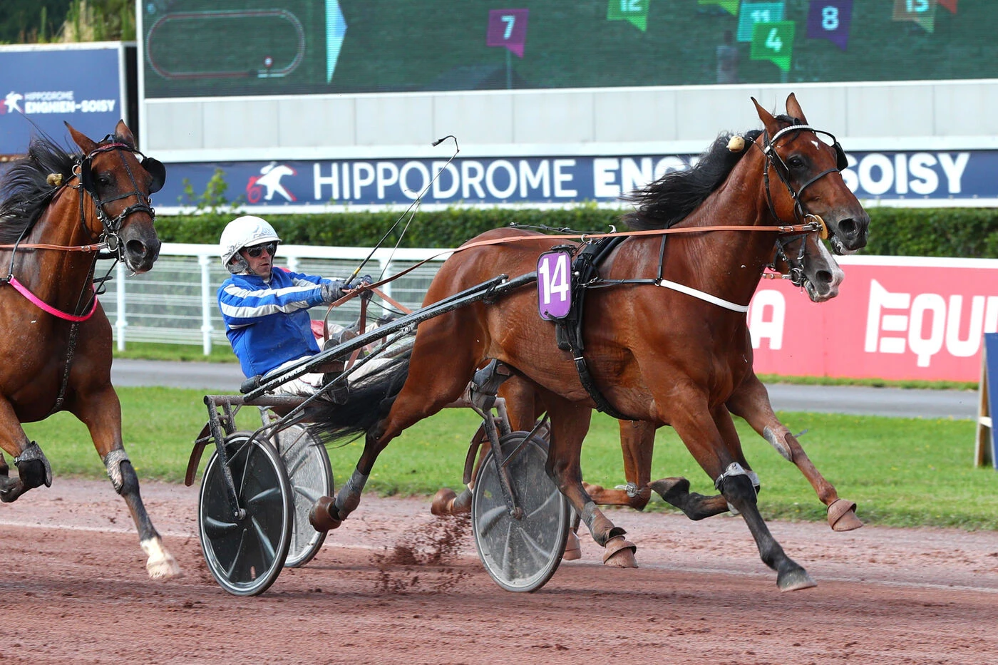 Arrivée du quinté du mercredi 30 juillet à Enghien : Hurricane Carter retrouve le haut de l’affiche