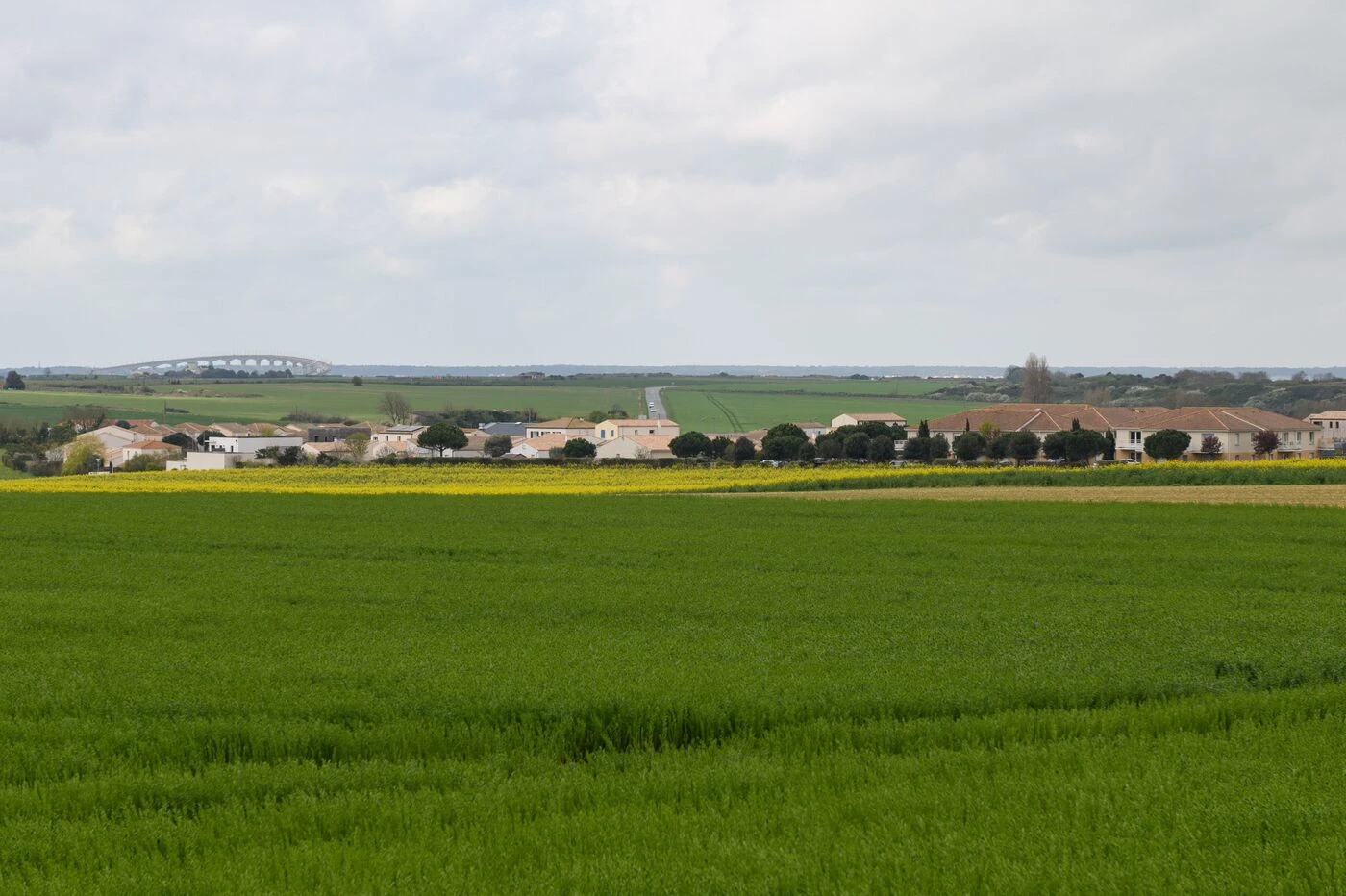 « Faut-il rester ici ? Dans la région ? » : des pesticides retrouvés dans les cheveux d’une enfant de 3 ans près de La Rochelle