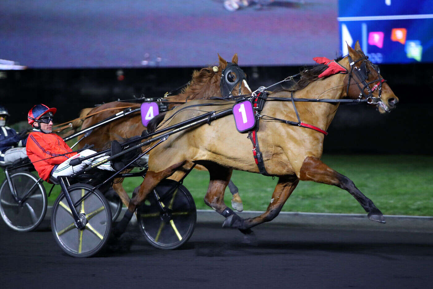 PMU – Arrivée du quinté du vendredi 3 janvier à Vincennes : Haute Côte de Nuit impériale !