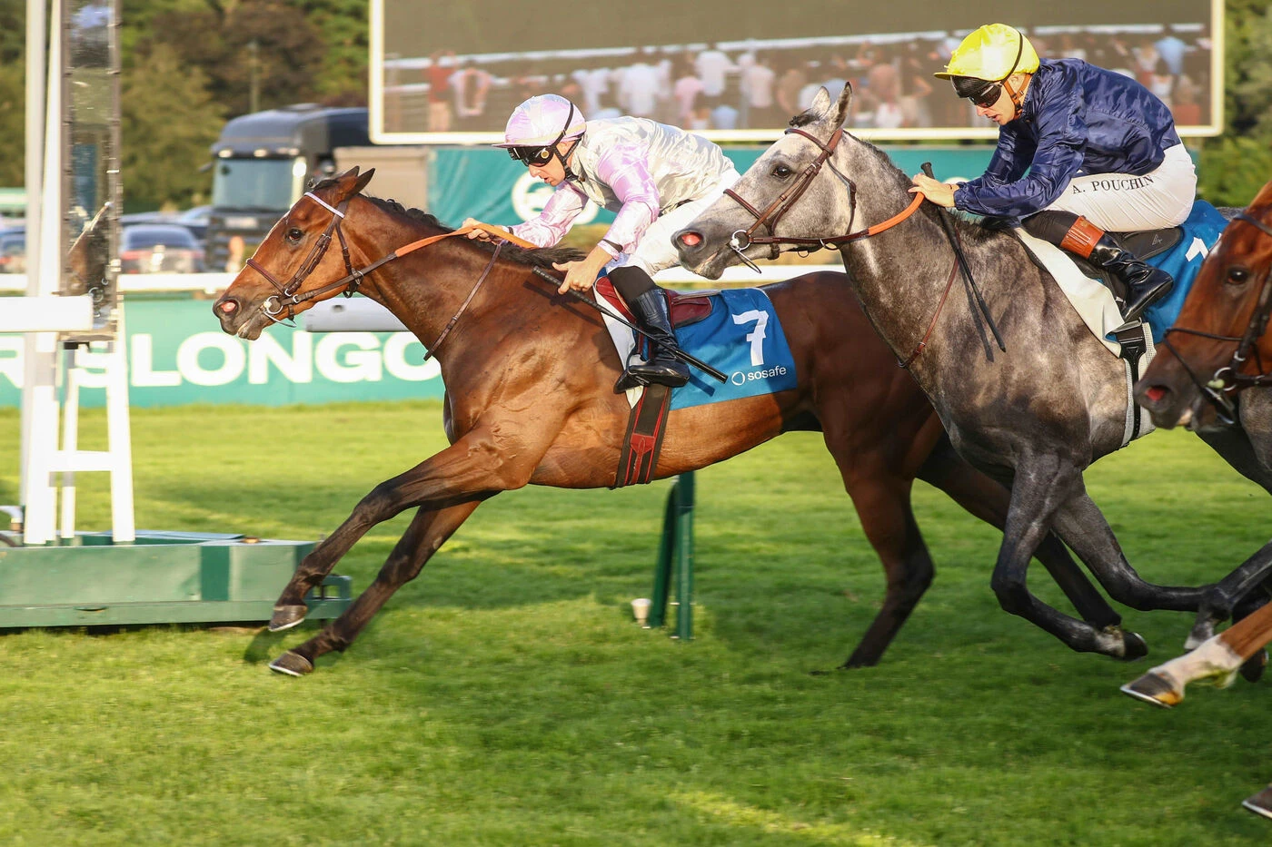Arrivée du quinté du jeudi 28 mai à ParisLongchamp : Box Officer fait un carton !