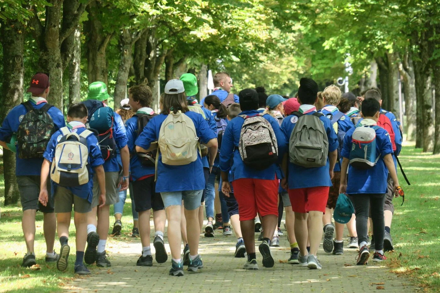 Jura : un camp scout fermé après la chute de deux jeunes lors d’un jeu nocturne