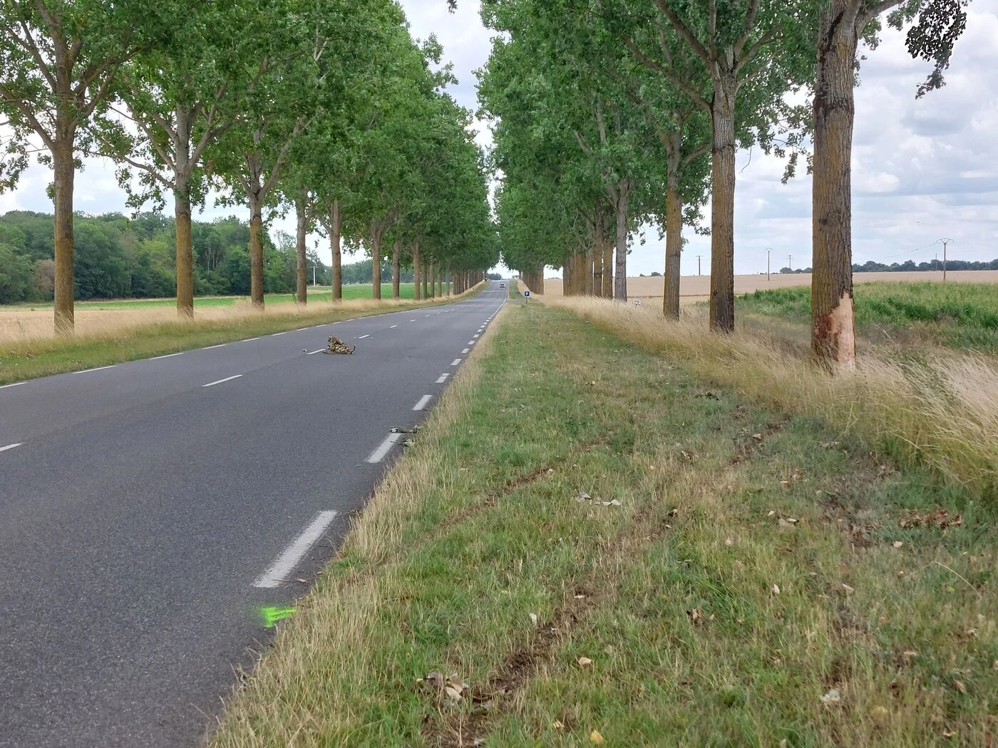 Aubepierre-Ozouer-le-Repos : deux jeunes perdent la vie dans un accident de la route