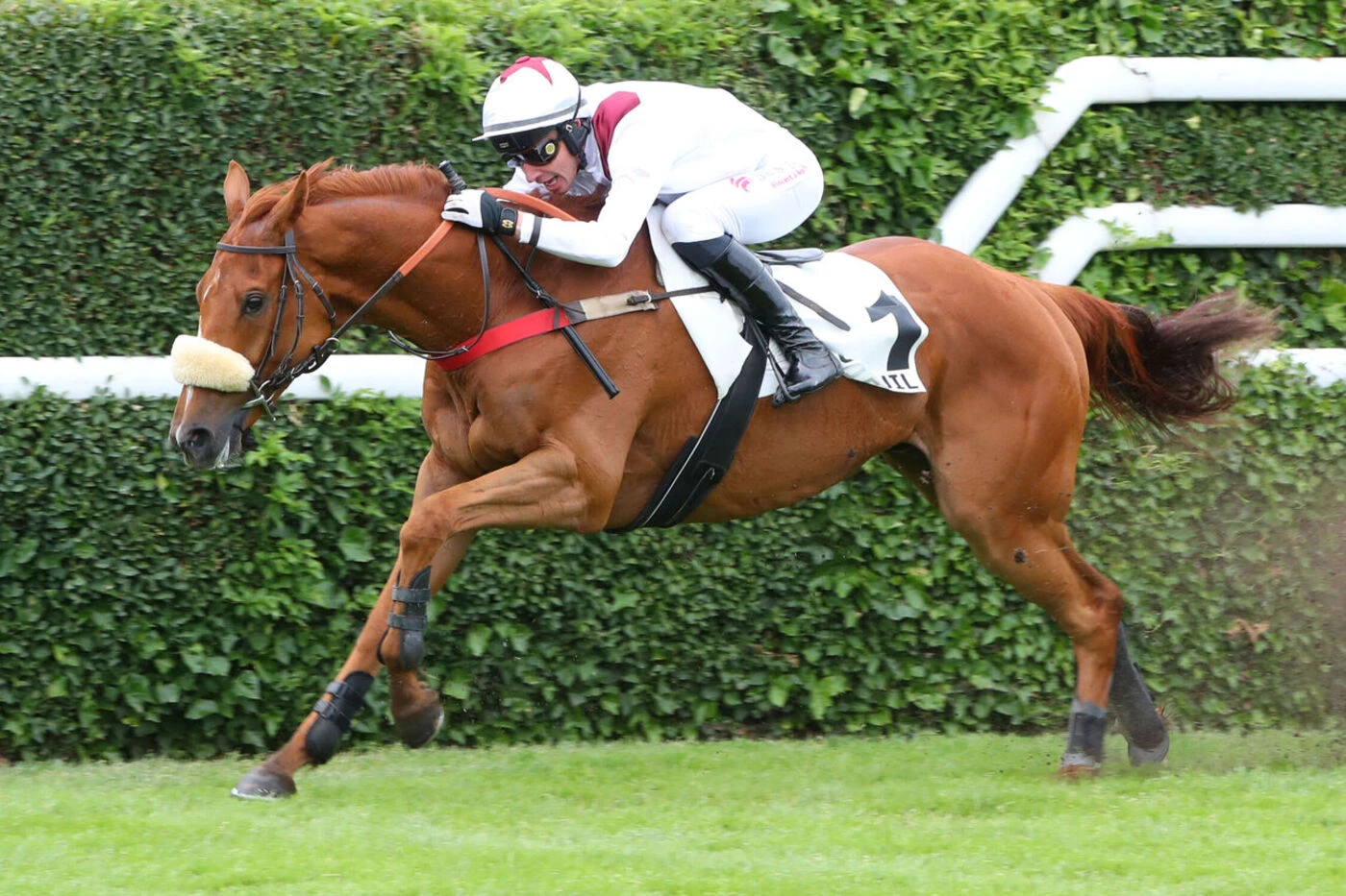 Arrivée du quinté du mardi 27 mai à Auteuil : une formalité pour French Baron, frère d’un grand champion