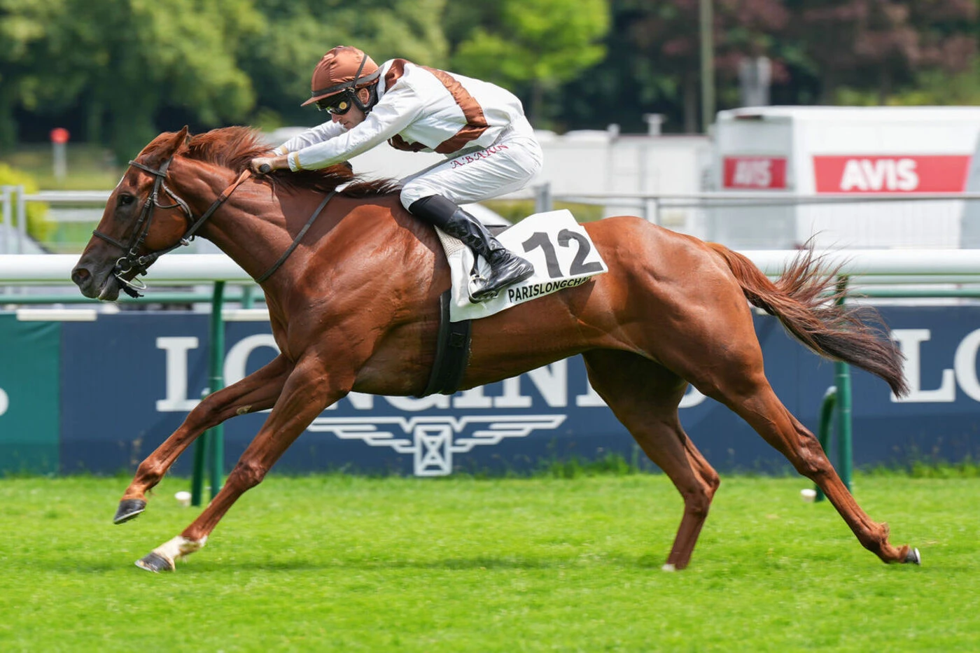 Arrivée du quinté du dimanche 8 juin à ParisLongchamp : Chica de Ciudad émeut Paul de Chevigny