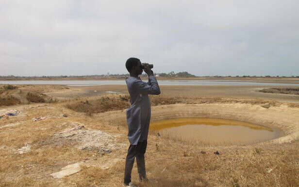 Au Sénégal, sur la piste des oiseaux migrateurs 