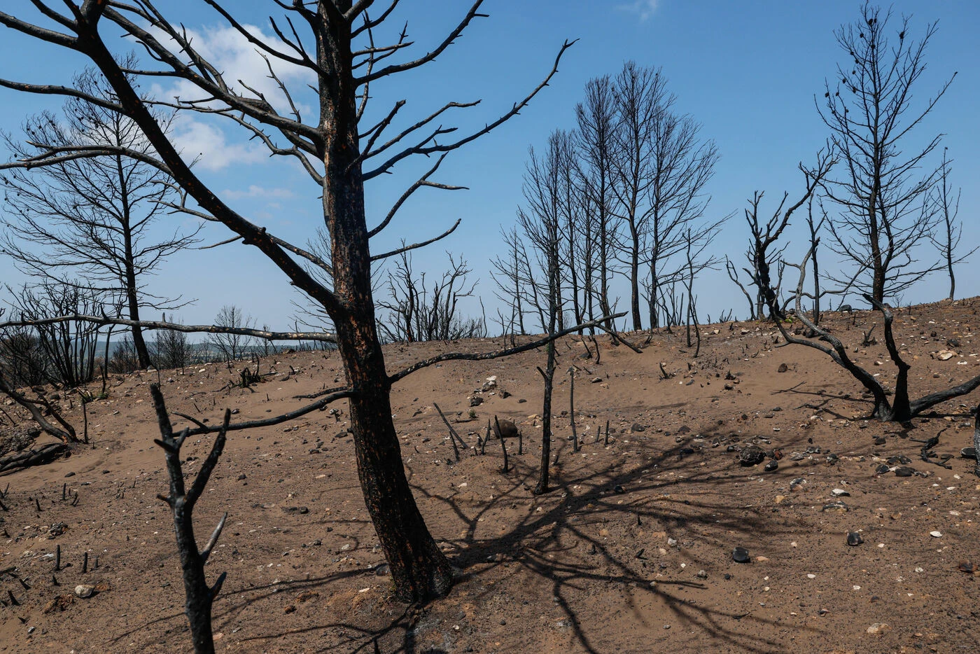 « Quasiment tous les jours des reprises » : l’incendie géant de l’Aude, toujours pas éteint, menace encore