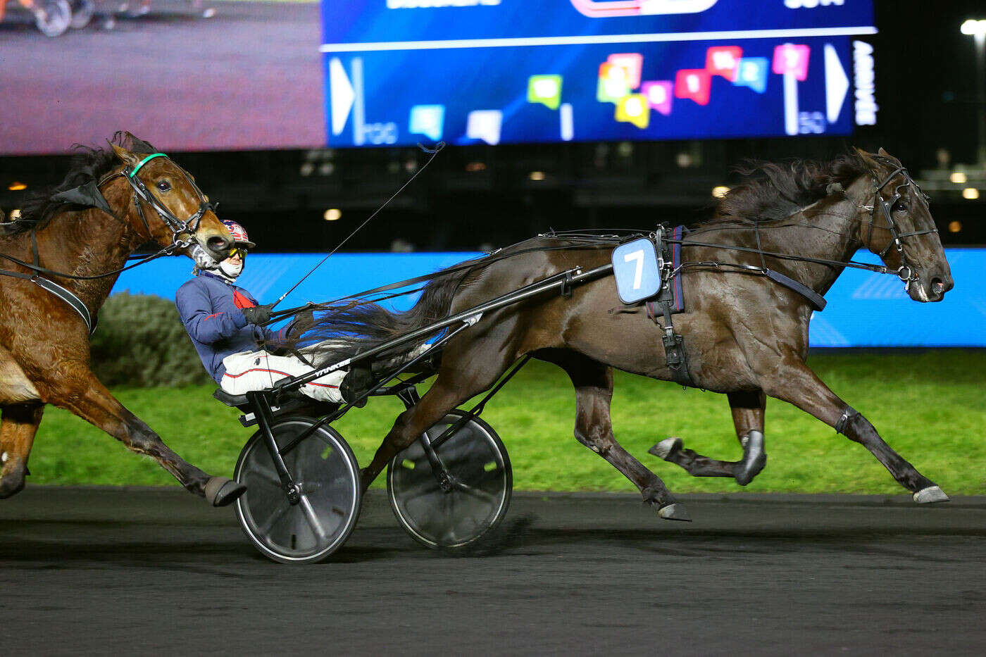 Arrivée du quinté du vendredi 14 février à Vincennes : Kelly Jane dompte les mâles