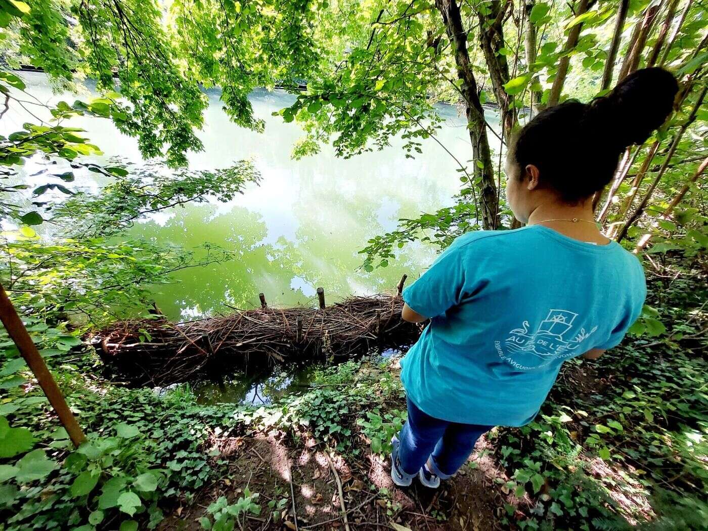 « Ça sentait très fort sur plusieurs kilomètres » : importante pollution sur la Marne à Nogent