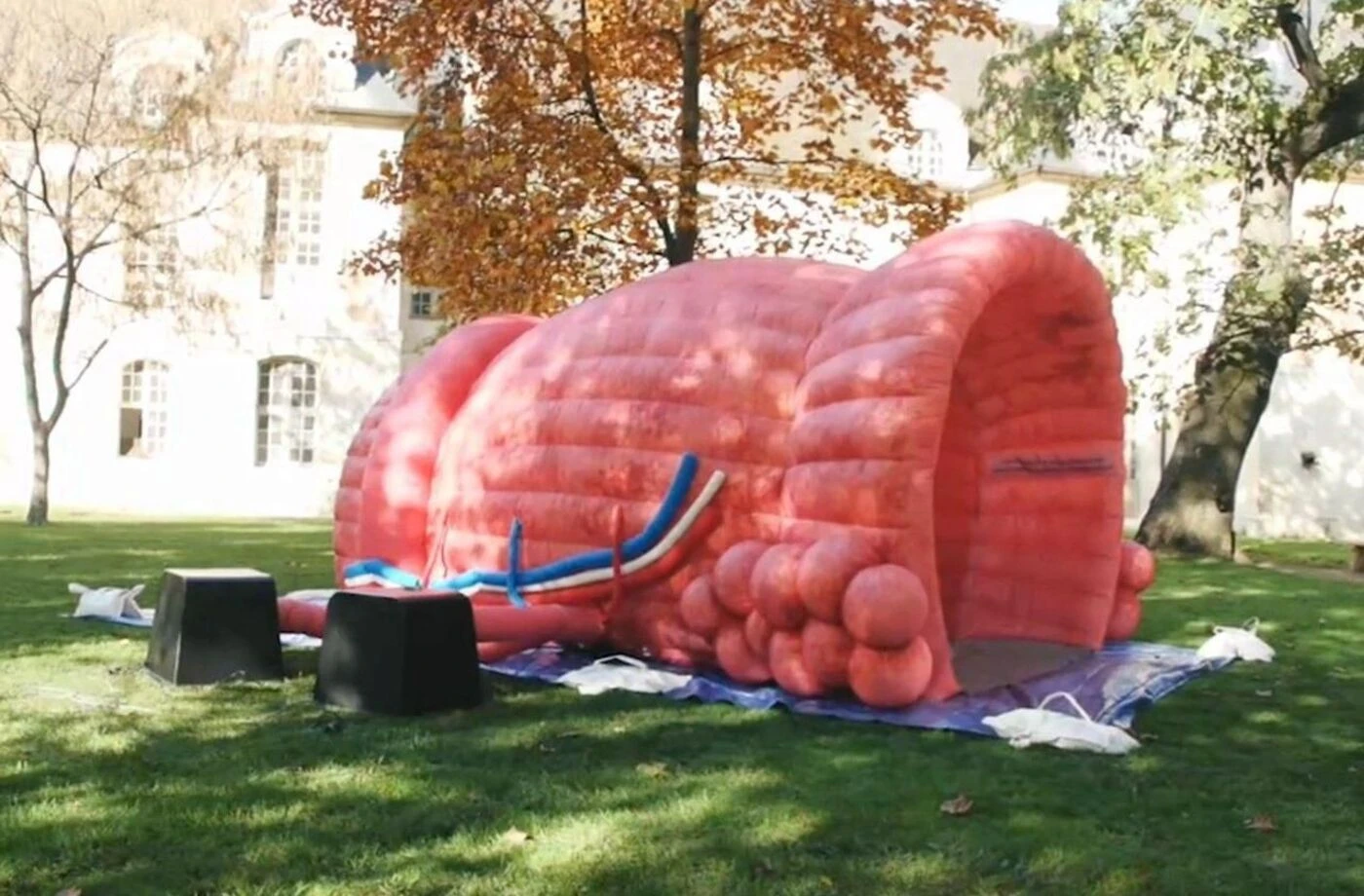 Seine-et-Marne : une prostate géante devant la mairie d’Émerainville pour sensibiliser aux cancers masculins