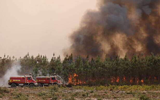 Lutte contre les incendies : une météo des forêts lancée en juin pour que « chacun soit plus attentif »