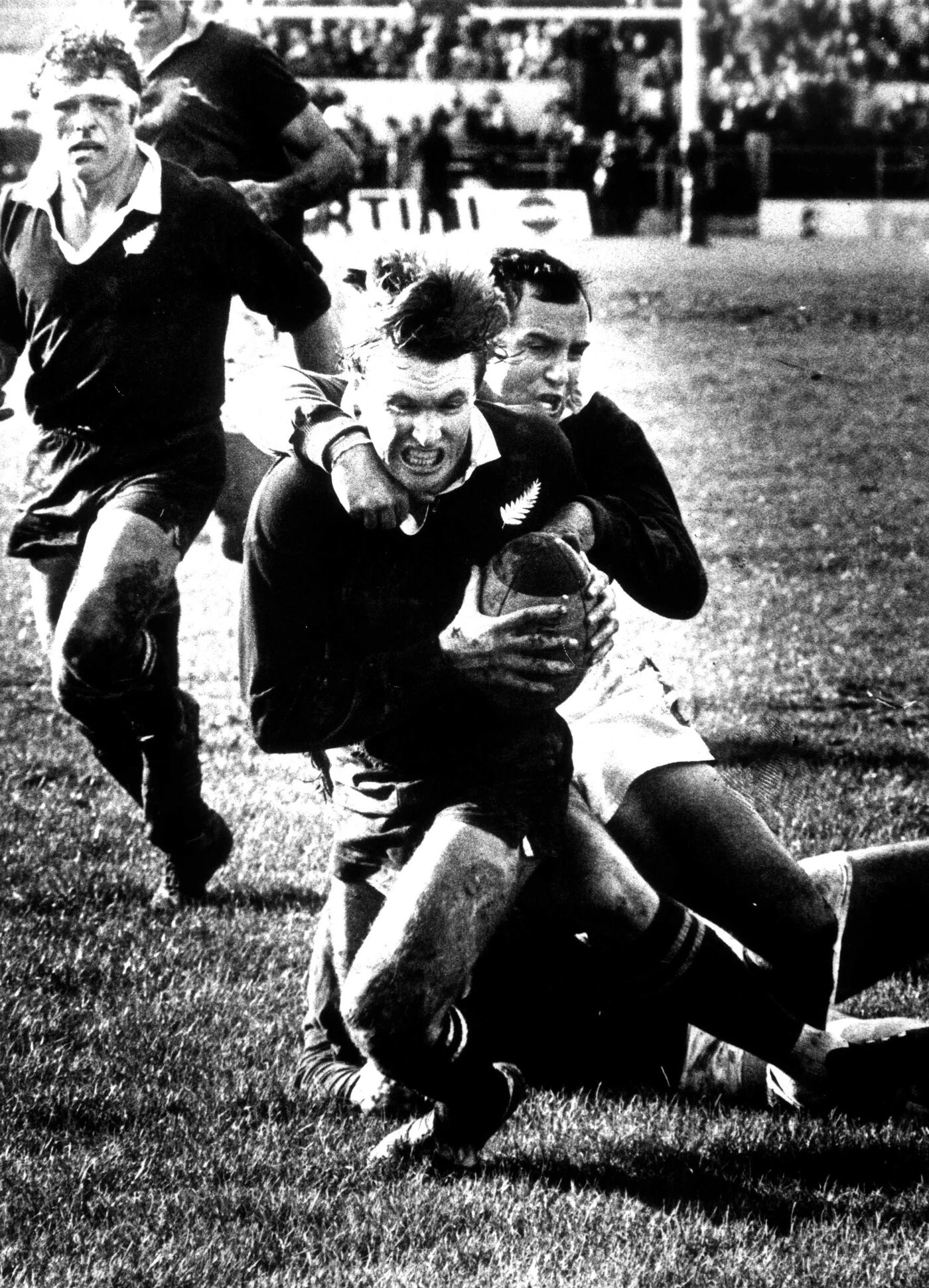« L’un des personnages les plus mémorables du rugby », l’ancien capitaine des All Blacks Stu Wilson est décédé