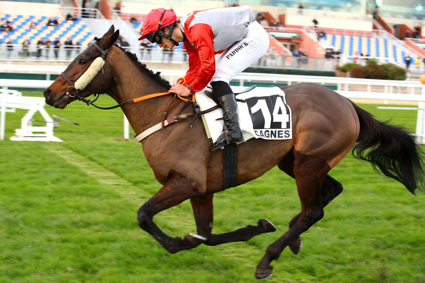 PMU - Arrivée du quinté du lundi 9 décembre à Cagnes-sur-Mer : First Dream de bout en bout