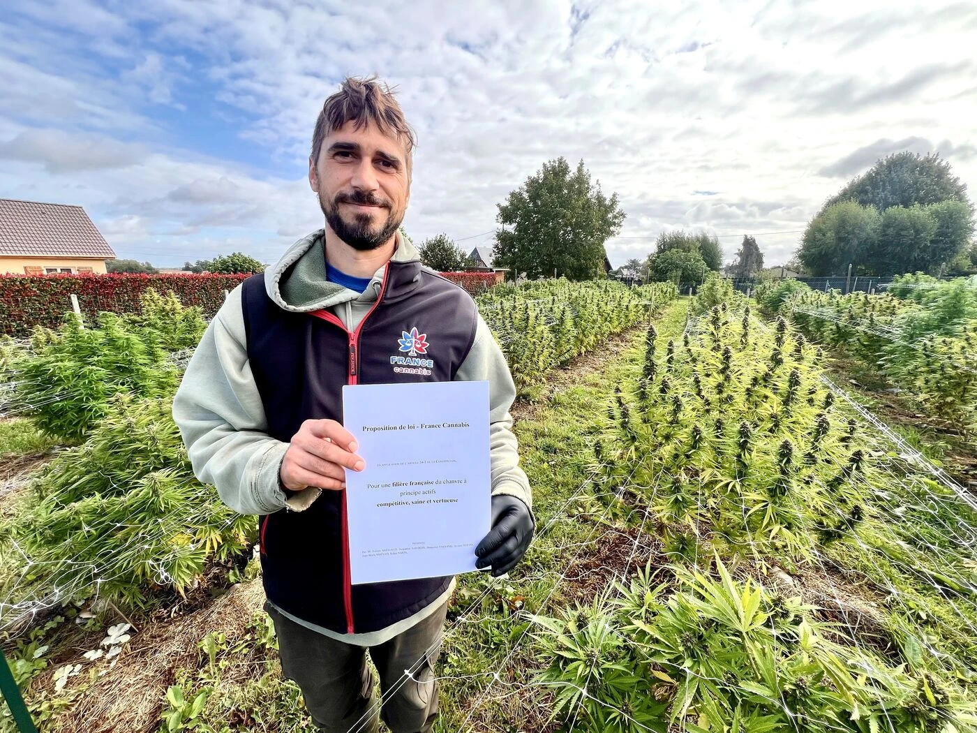 « C’est toute une filière agricole qui est en danger » : dans l’Eure, un producteur de CBD normand veut défendre un produit naturel