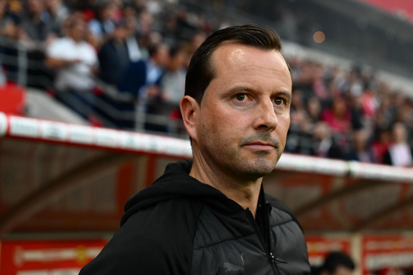 Football : l’entraîneur Julien Stéphan en contacts avancés avec QPR, en D2 anglaise