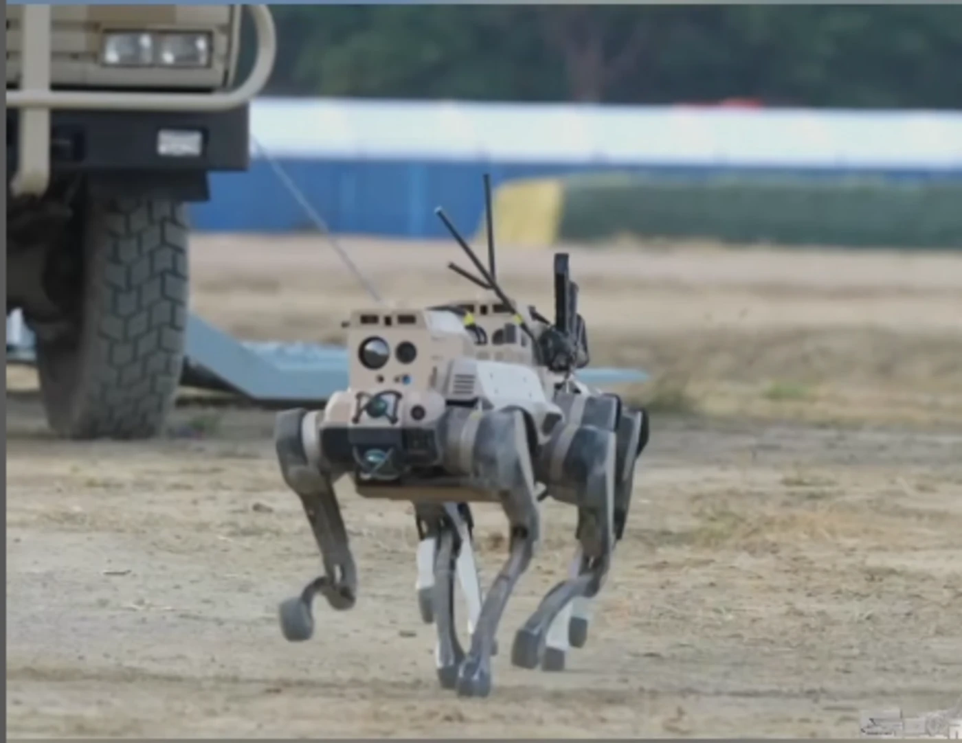« Des frappes précises jusqu’à 100 m » : c’est quoi ces loups robots militaires déployés par la Chine ?