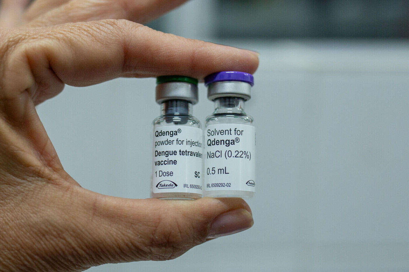 Dengue : un nouveau vaccin recommandé dans les territoires d’outre-mer