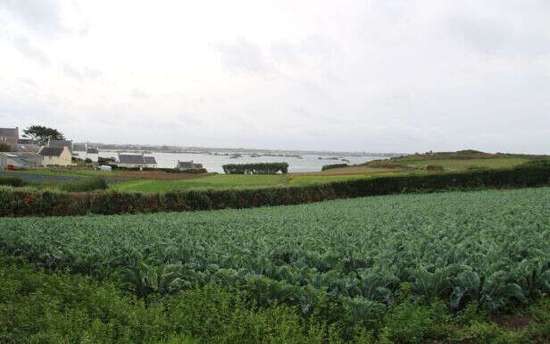 Pesticides : trois communes du Finistère sont-elles vraiment dans le rouge ?