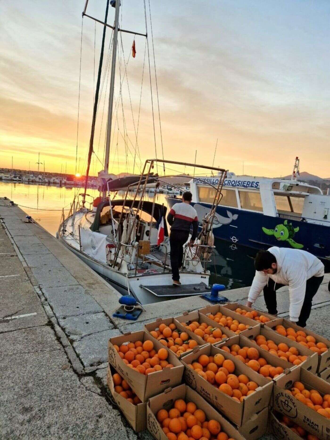 Des agrumes espagnols sont livrés dans les ports catalans… à la voile !