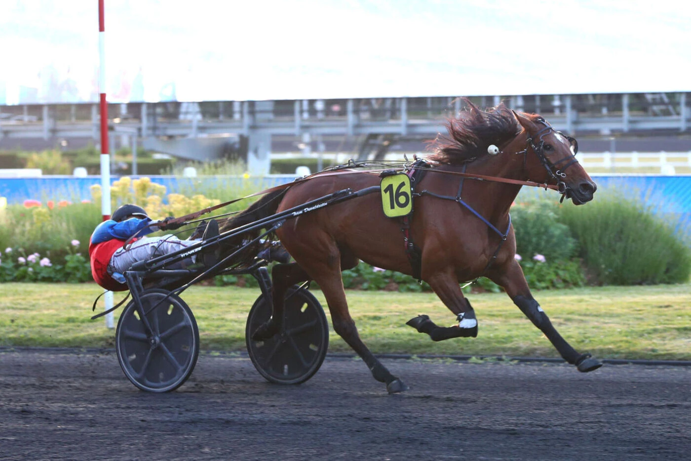 Arrivée du quinté du vendredi 23 mai à Vincennes : Just A Lady offre un coup de 3 à Théo Duvaldestin
