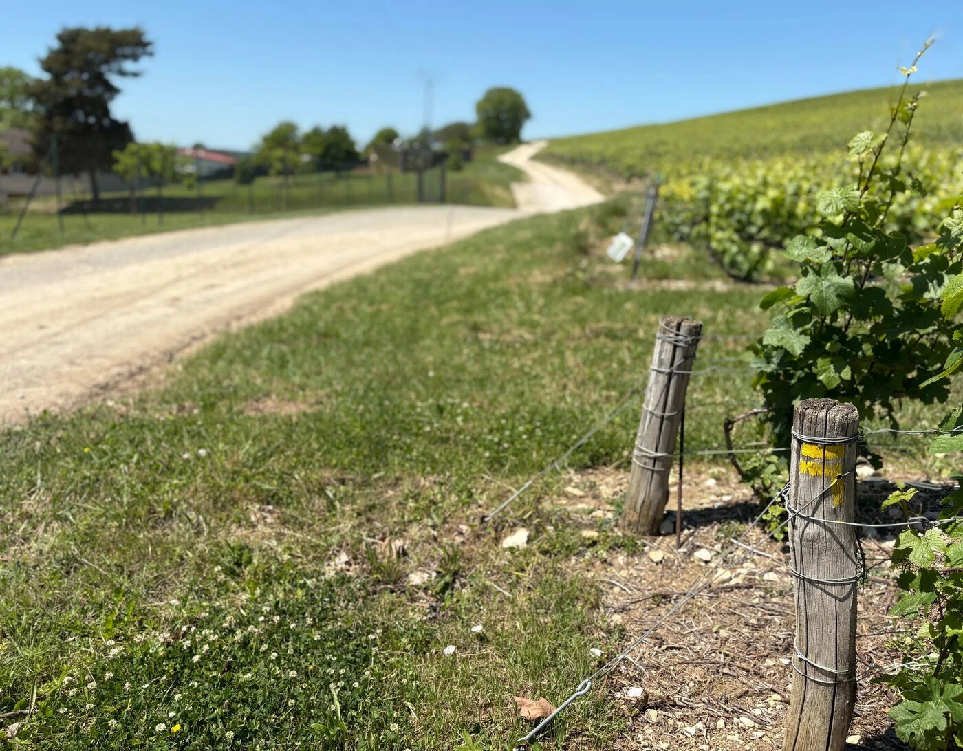 Aube : le Val des Vignes à Ailleville, une randonnée au riche passé historique