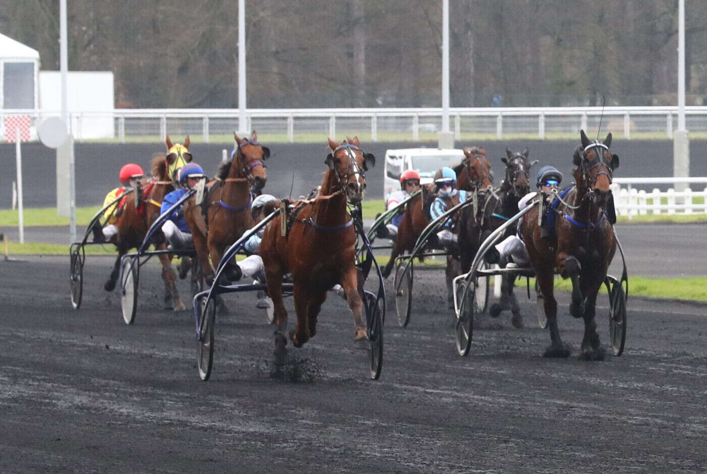 Arrivée du quinté du jeudi 23 janvier à Paris-Vincennes : Ibis Pettevinière profite des aubaines