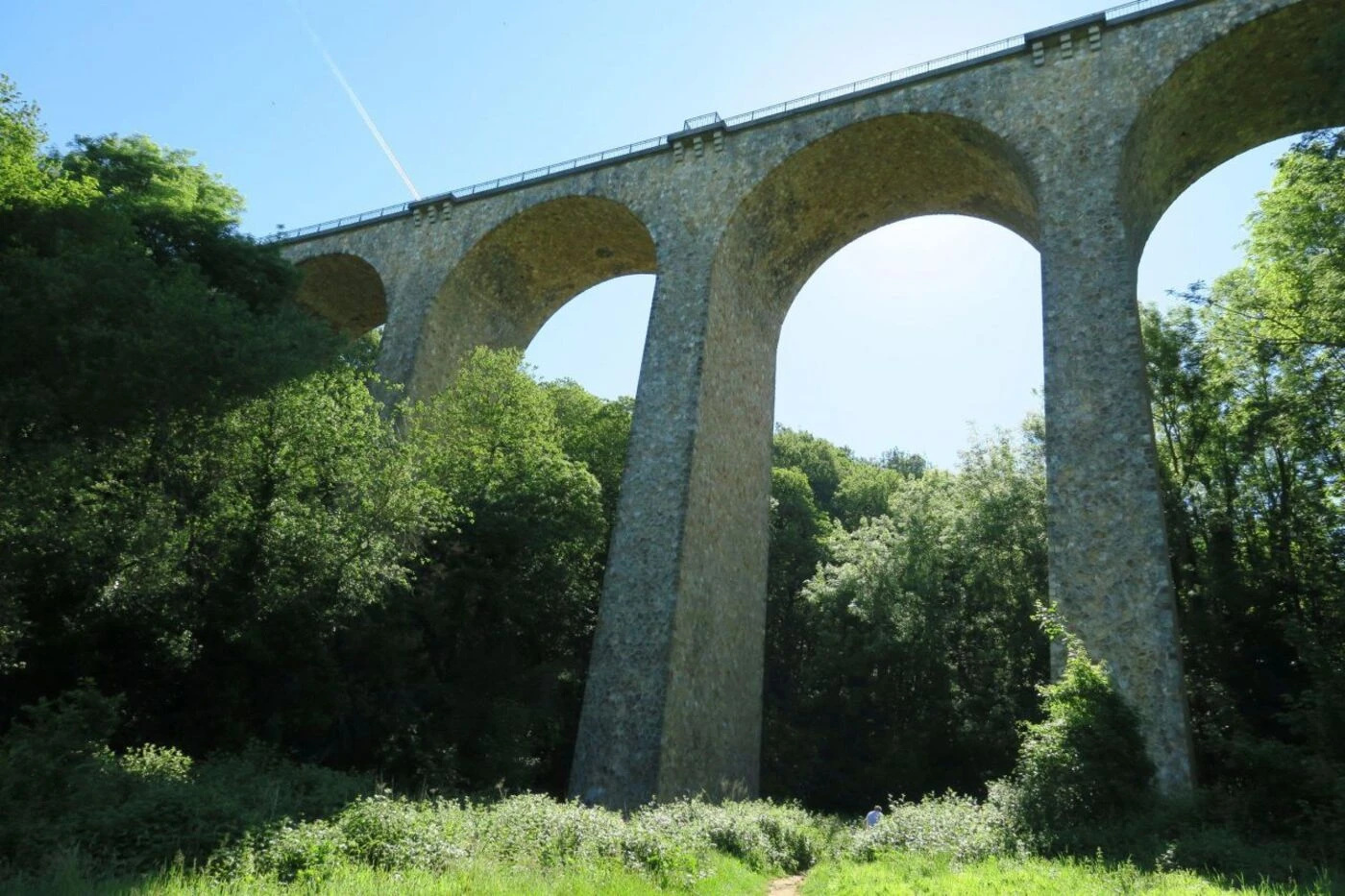 Au viaduc des fauvettes, un saut à l’élastique finit contre un arbre faisant deux blessés dont un grave