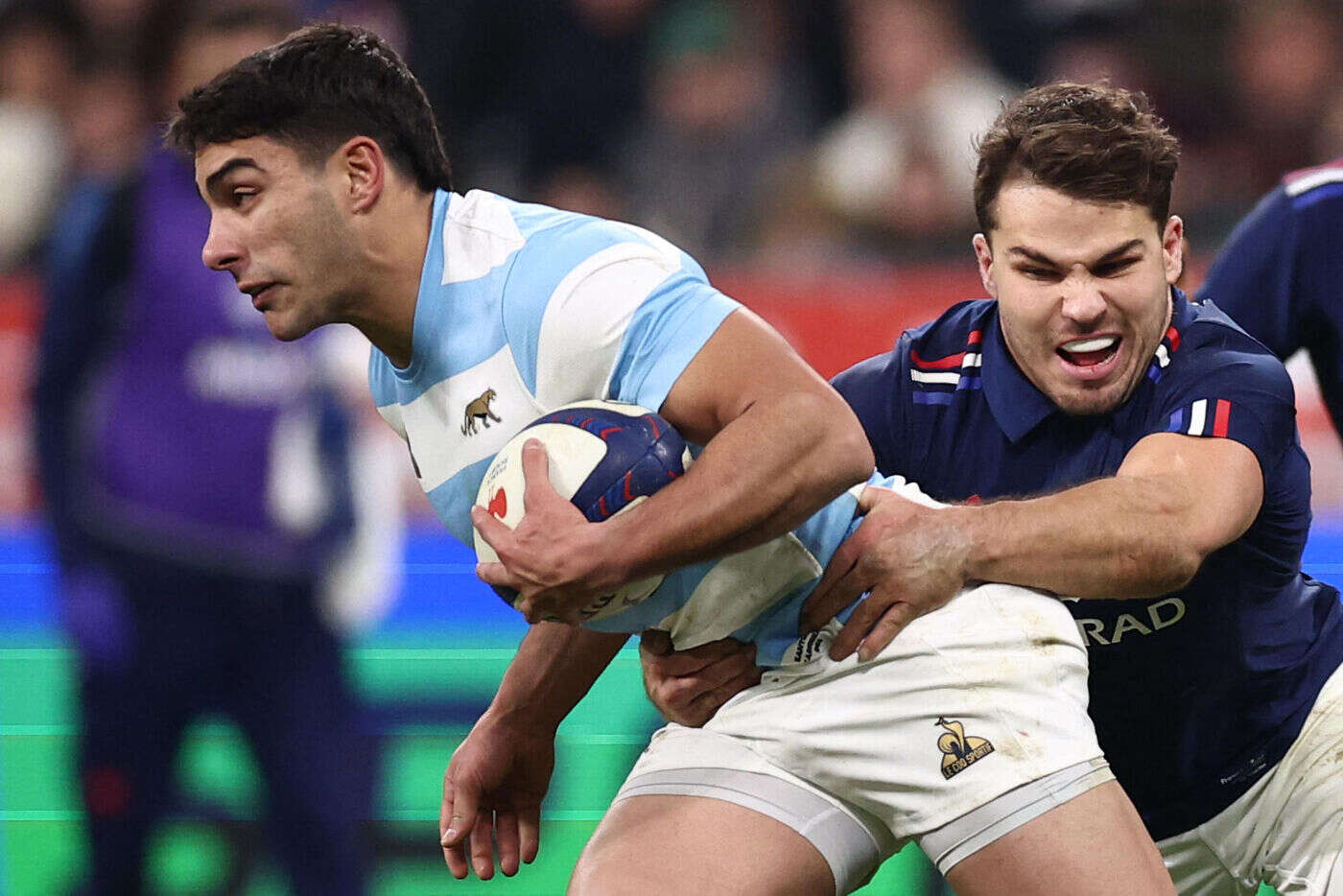 France - Argentine (37-23) : Attaque, défense... Des Bleus impressionnants d’efficacité sur la tournée de novembre