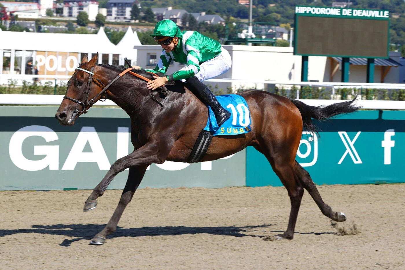 Arrivée du quinté du dimanche 24 août à Deauville : la balade de Colgan Senora