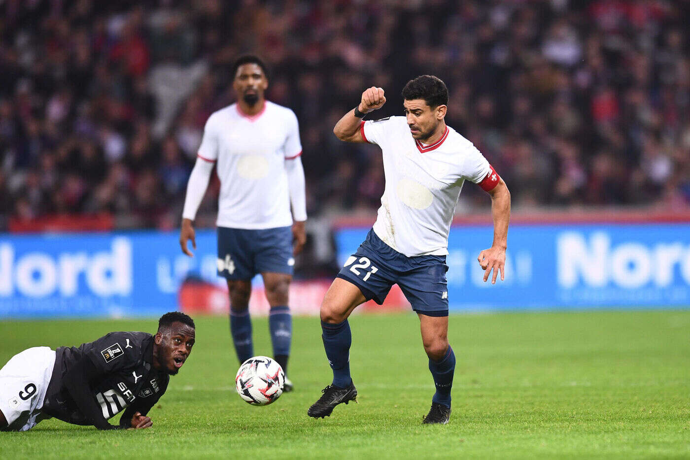 Bologne-Lille : invaincu depuis deux mois et demi, le Losc veut finir le travail en Ligue des champions