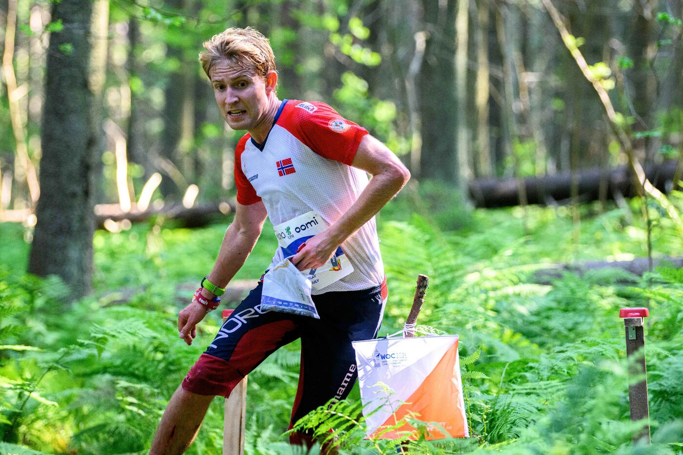 Course d’orientation : des dizaines d’athlètes touchés par la « fièvre du lapin » après une épreuve en Norvège