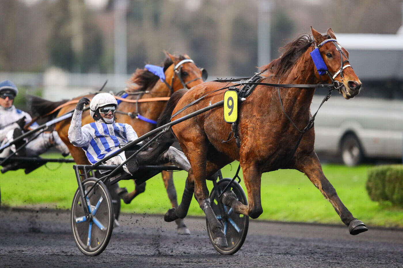 PMU - Arrivée du quinté du dimanche 15 décembre à Paris-Vincennes : Inexess Bleu encore une fois intraitable