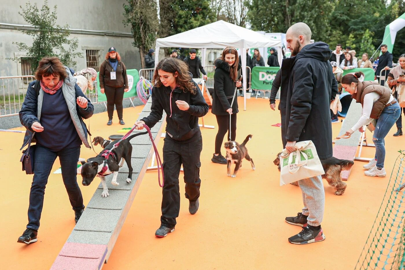 Sports canins, ateliers d’éducation, conférences… Animal expo, un salon qui a du chien mais pas que